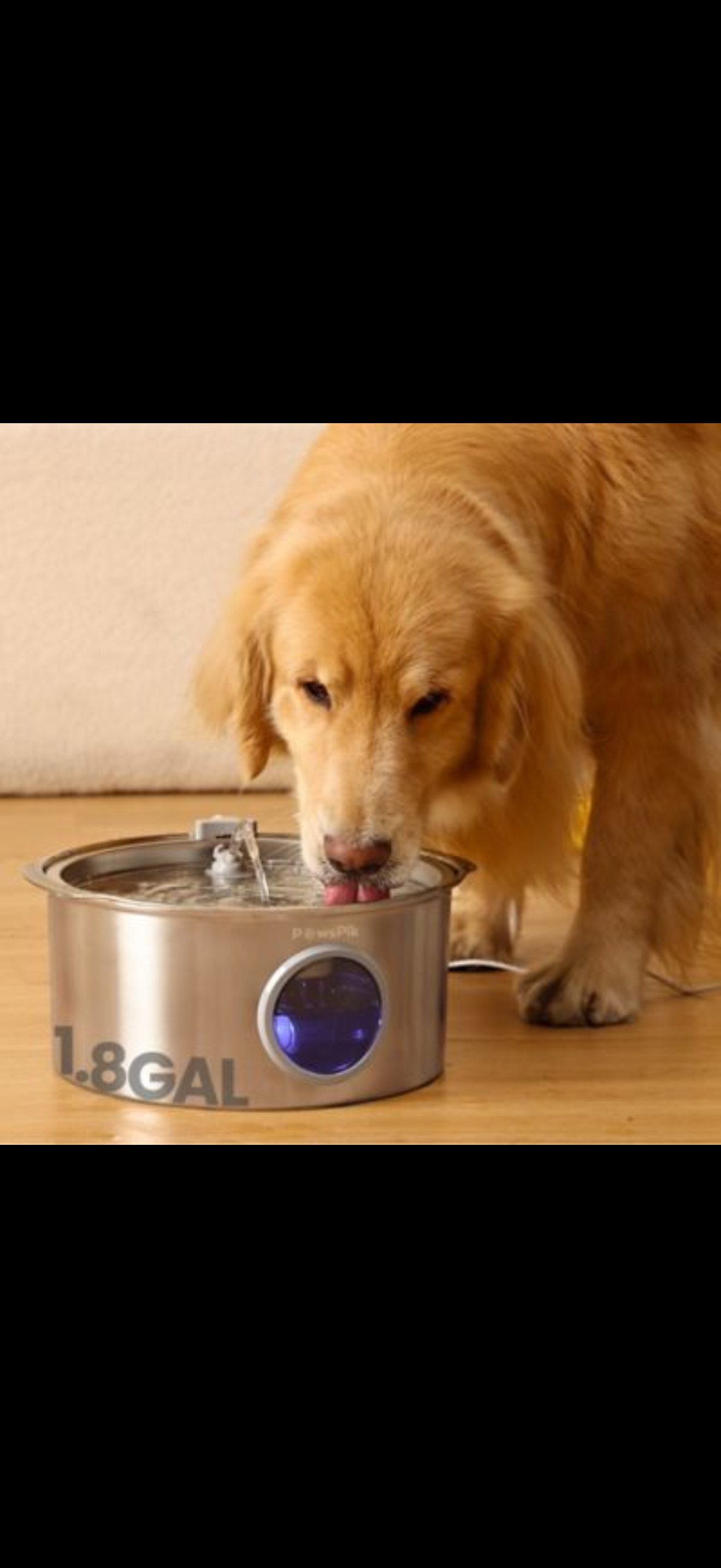 Automatisk Vattenfontän för Hund & Katt