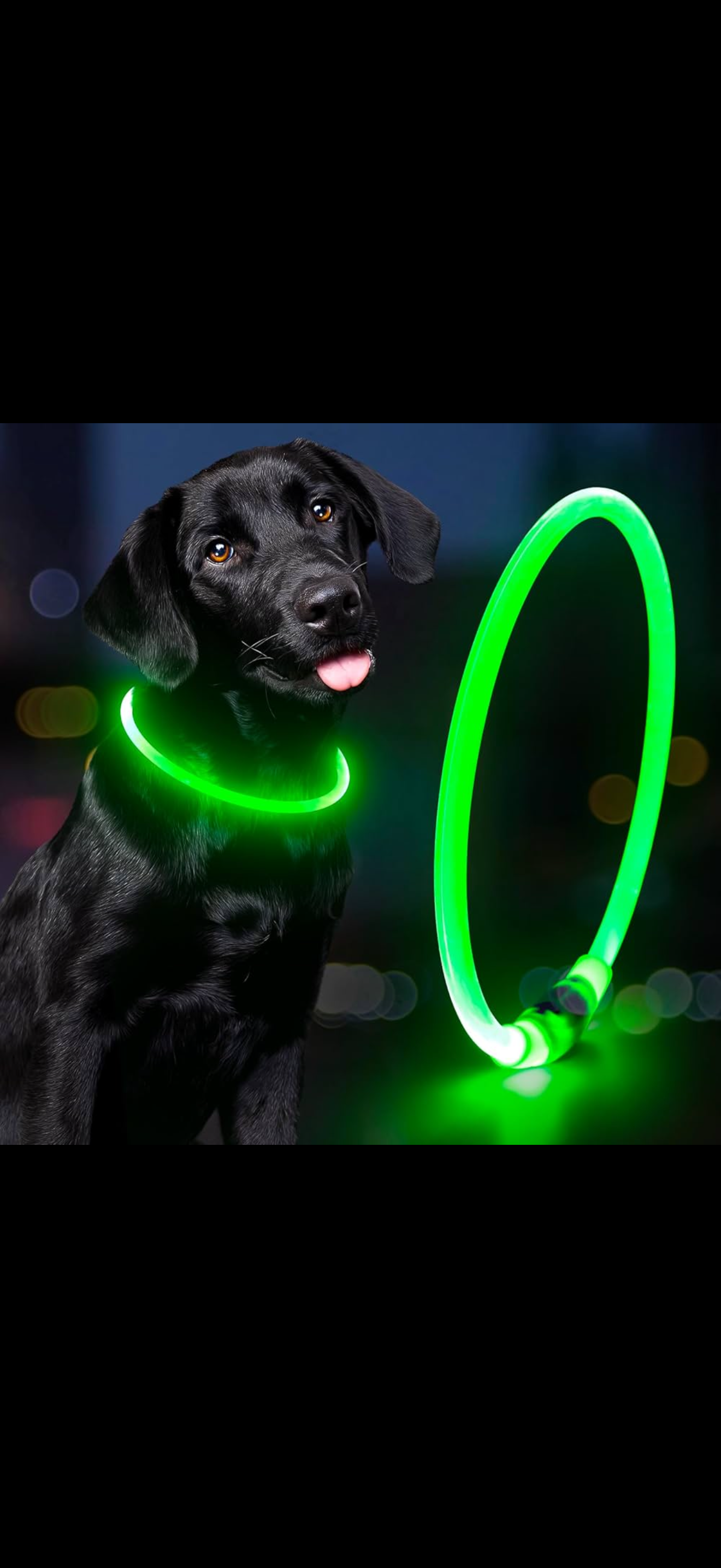 LED Hundhalsband – Uppladdningsbar & Synlig i Mörker