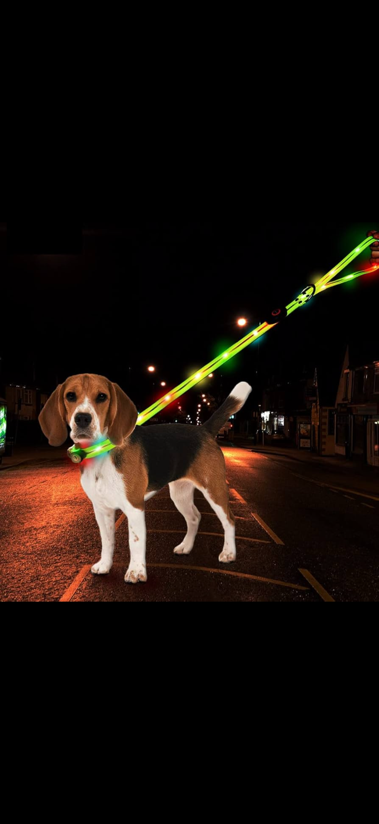 LED Hundhalsband – Uppladdningsbar & Synlig i Mörker