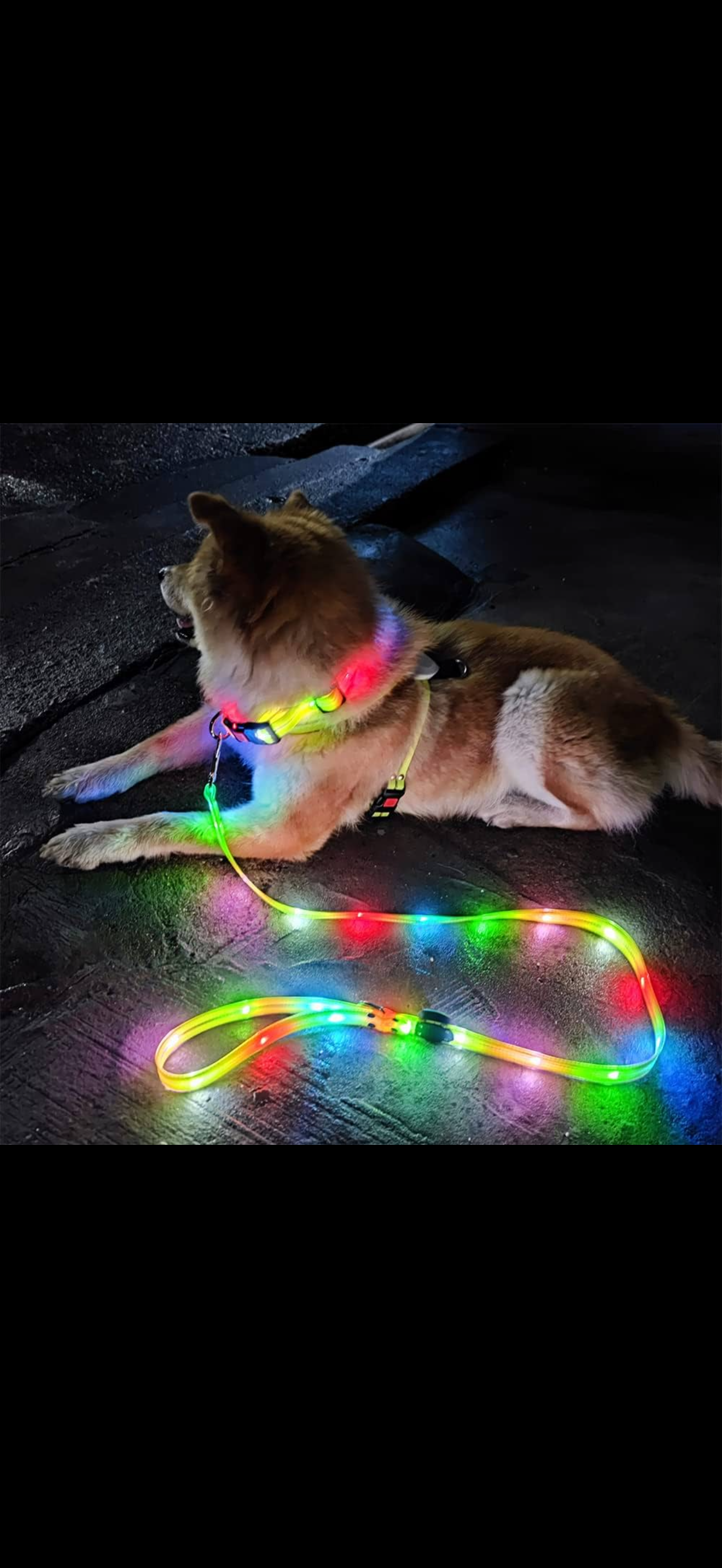 LED Hundhalsband – Uppladdningsbar & Synlig i Mörker