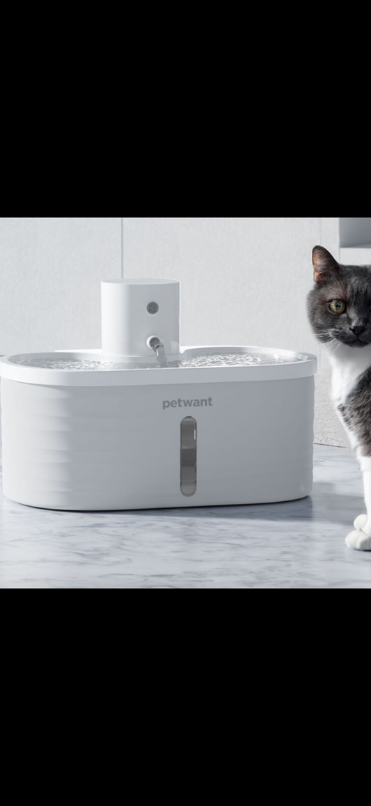 Automatisk Vattenfontän för Hund & Katt